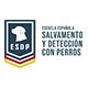 ESDP